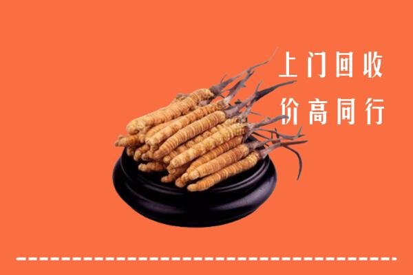 高价求购：定远县回收散虫草