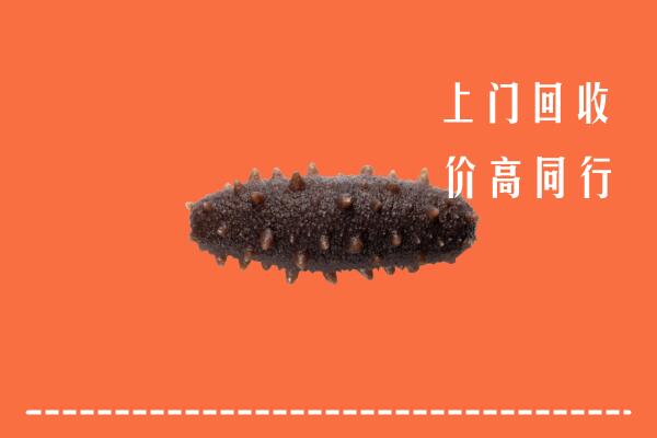 高价求购：定远县回收海参